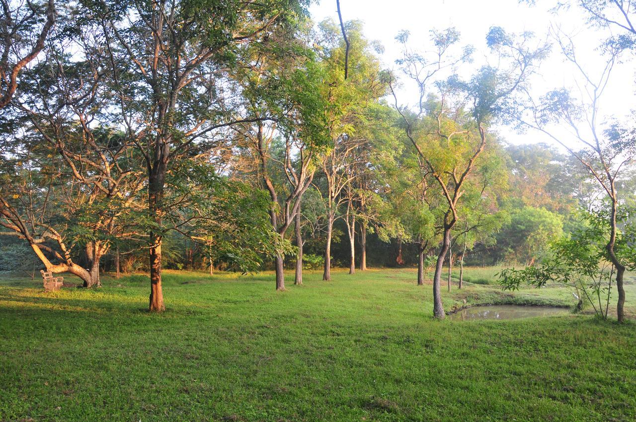 Waters Edge, Anuradhapura Villa Екстериор снимка
