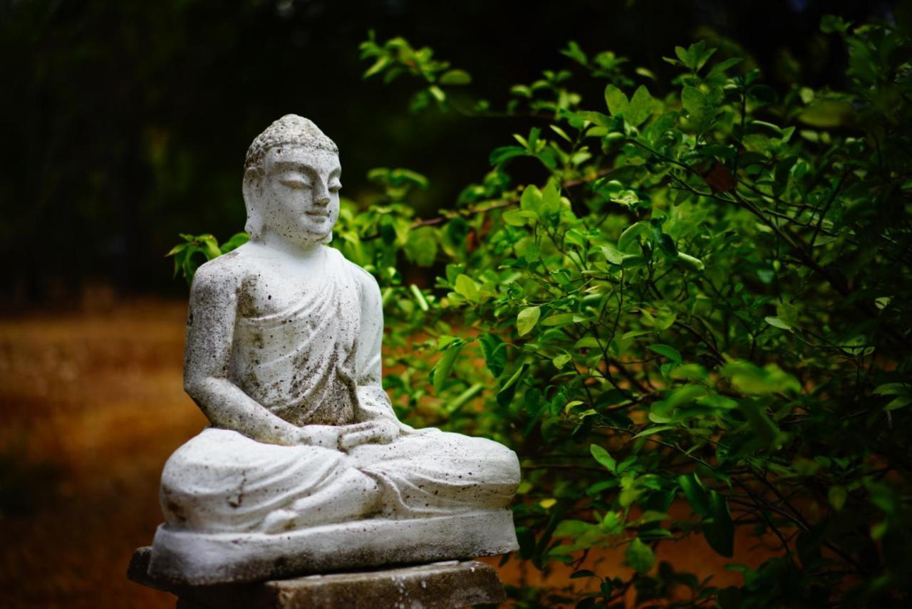 Waters Edge, Anuradhapura Villa Екстериор снимка