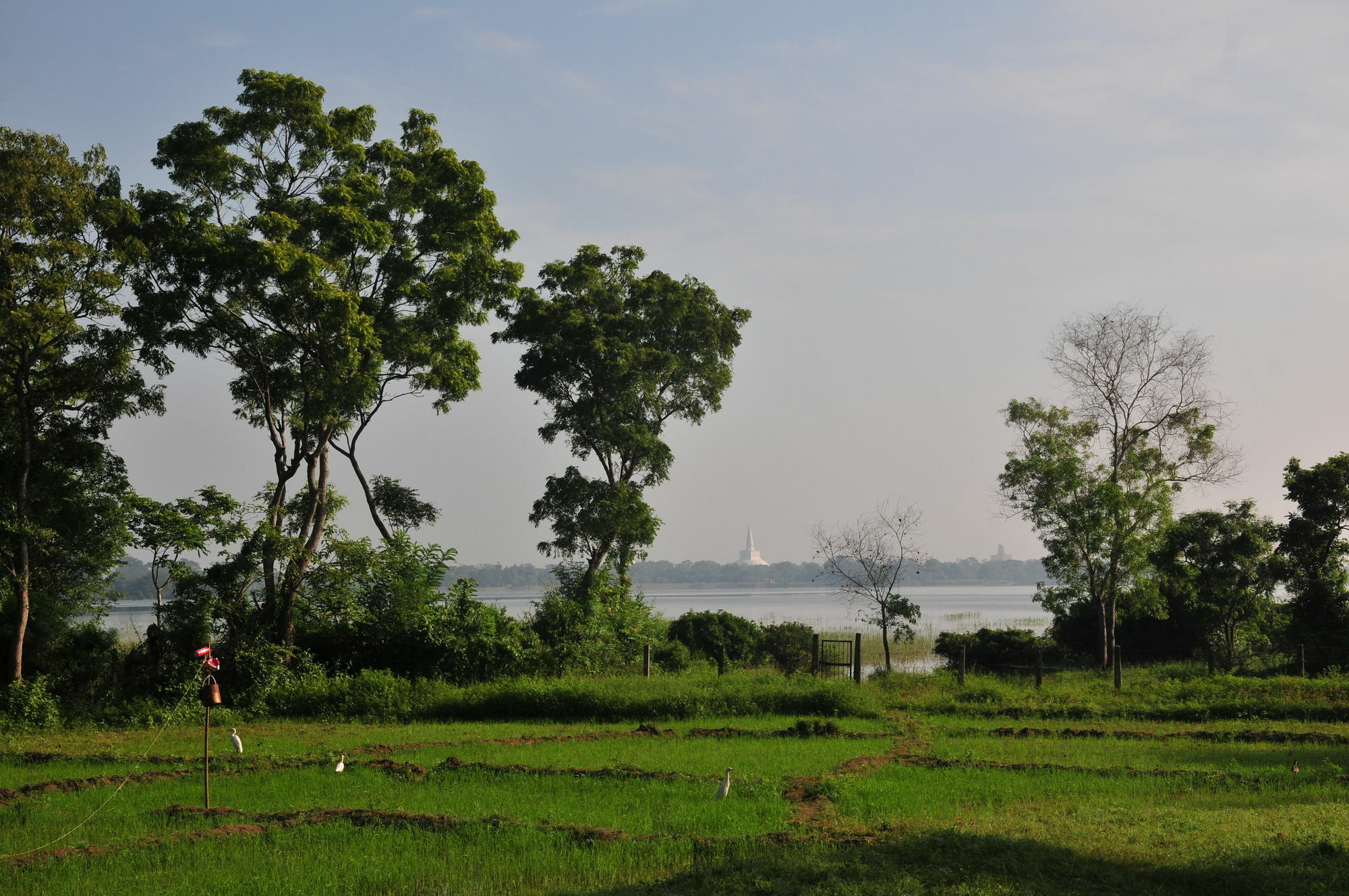 Waters Edge, Anuradhapura Villa Екстериор снимка