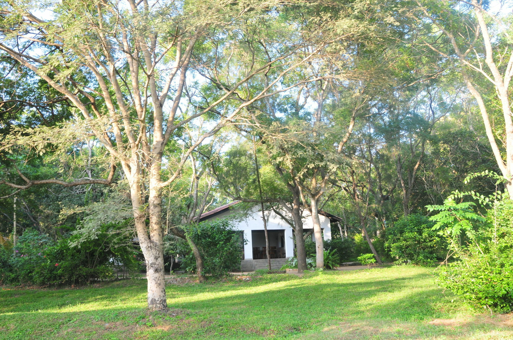Waters Edge, Anuradhapura Villa Екстериор снимка